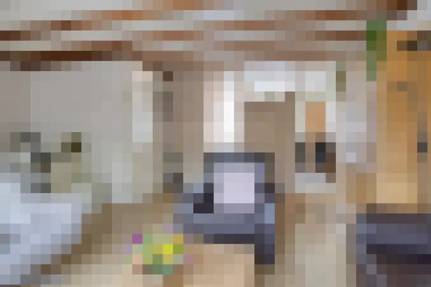 Spinet 40 Soest thumbnail 7