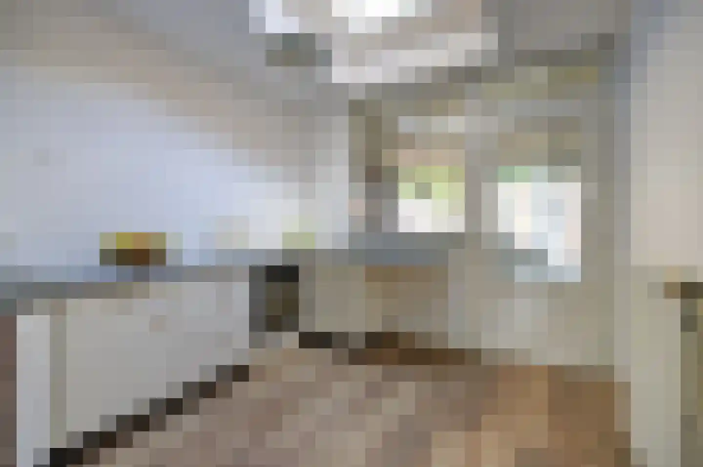 Spinetstraat 14 Etten-Leur thumbnail 12