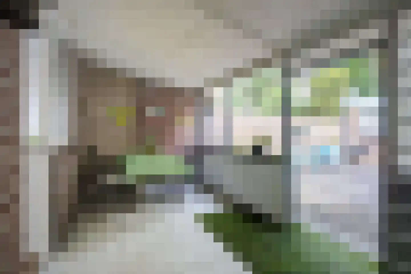 Spinetstraat 14 Etten-Leur thumbnail 15
