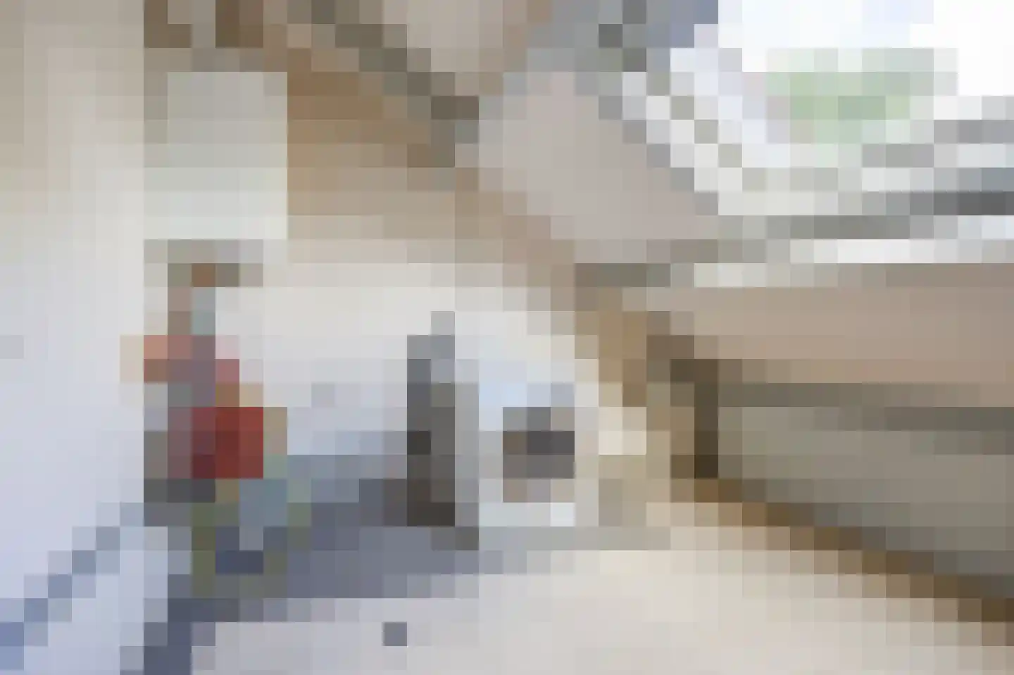 Spinetstraat 14 Etten-Leur thumbnail 34