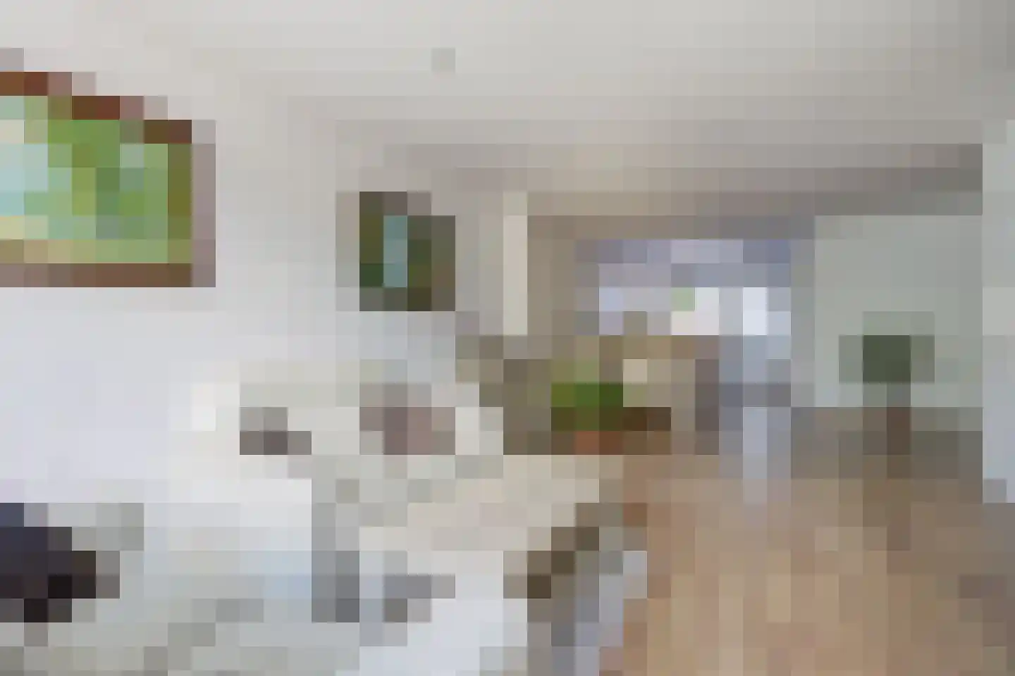 Spinetstraat 14 Etten-Leur thumbnail 7