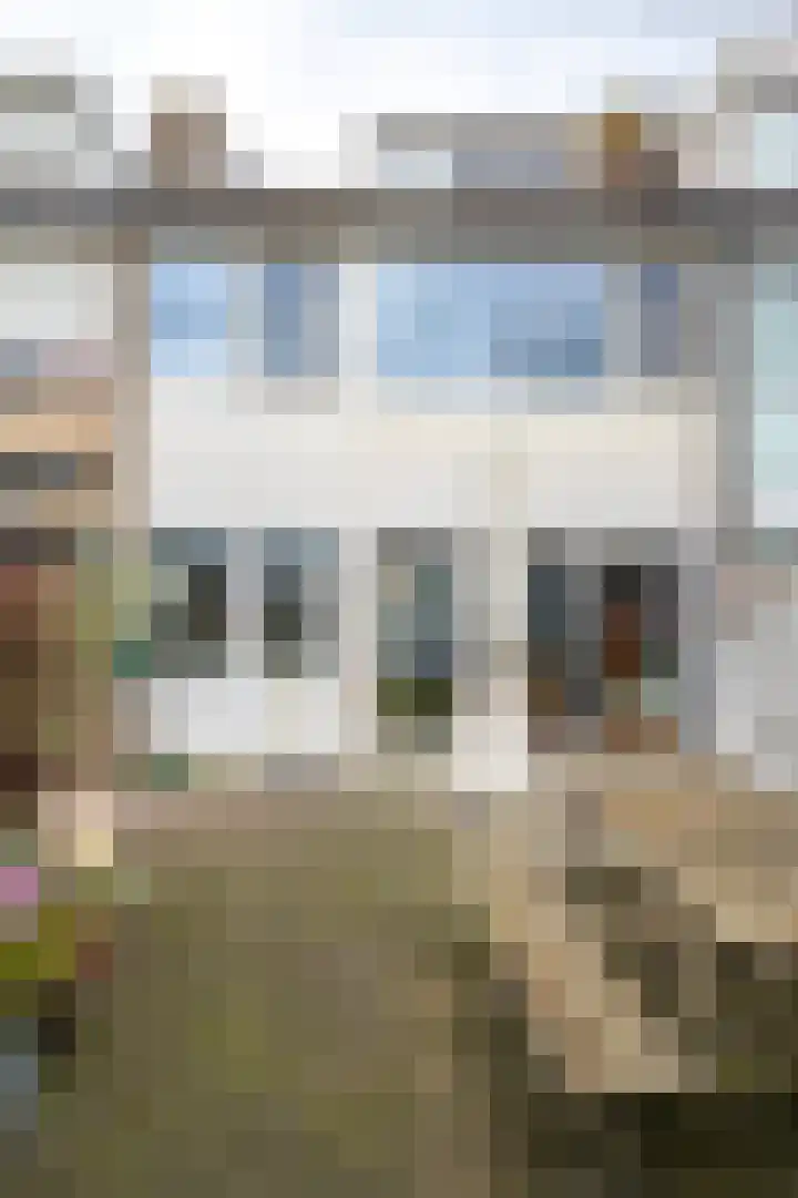 Spinetstraat 19 Nijmegen thumbnail 41