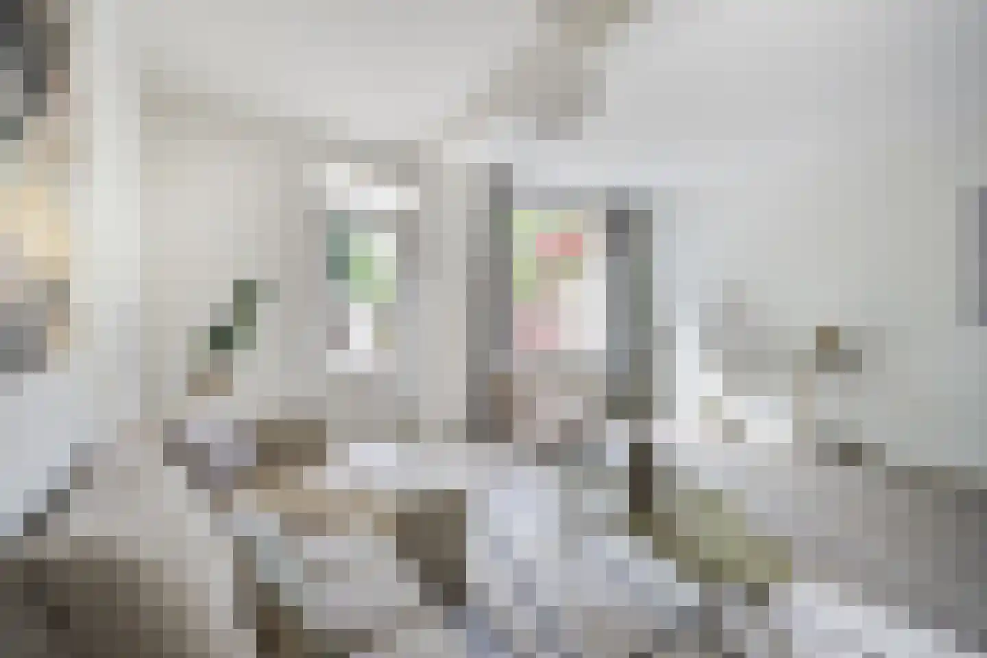 Spinetstraat 33 Etten-Leur thumbnail 10