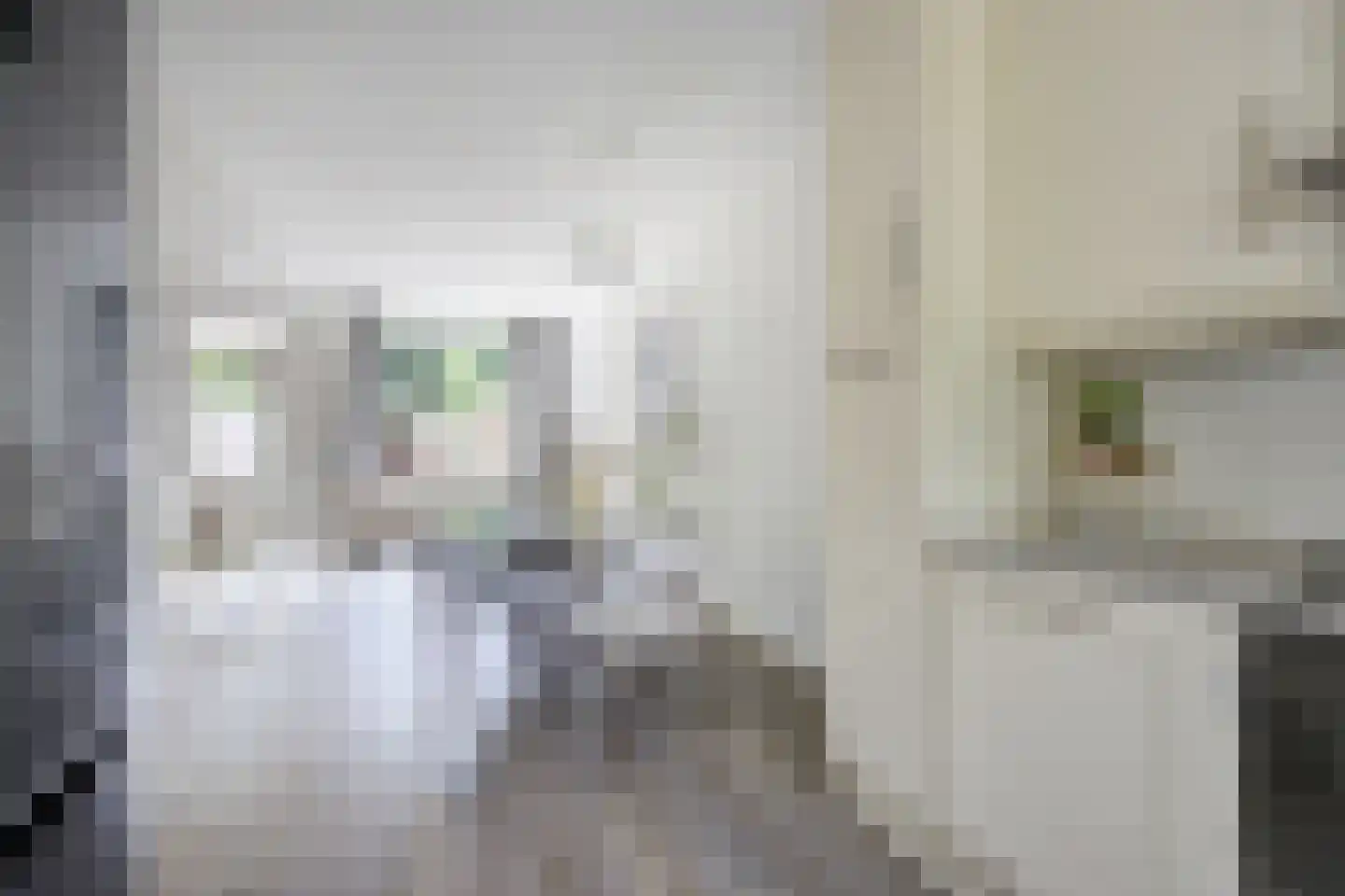 Spinetstraat 33 Etten-Leur thumbnail 14