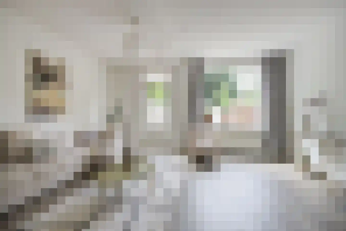 Spinetstraat 33 Etten-Leur thumbnail 6
