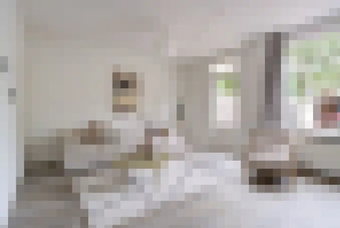 Spinetstraat 33 Etten-Leur thumbnail 7
