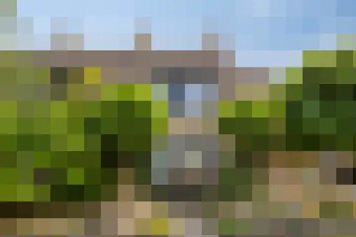 Spinetstraat 39 Etten-Leur thumbnail 39