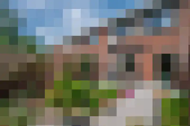 Spinetstraat 41 Venray thumbnail 35