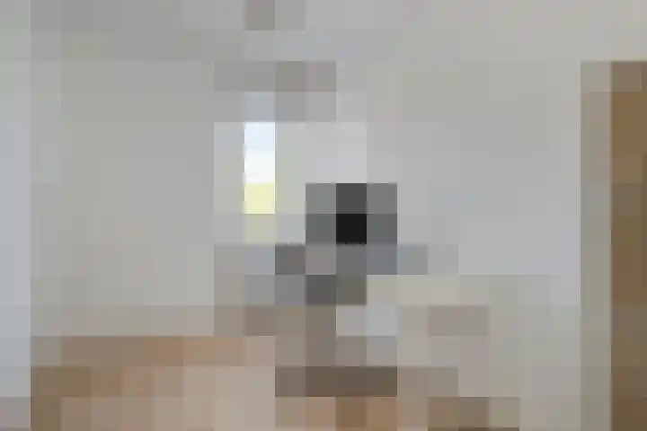 Spinetstraat 62 Etten-Leur thumbnail 25