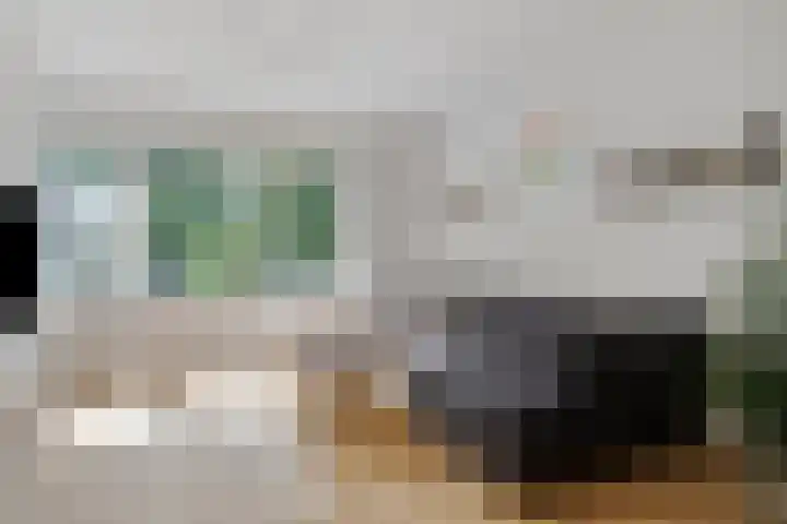 Spinetstraat 62 Etten-Leur thumbnail 6
