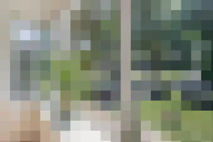 Spinetstraat 62 Etten-Leur thumbnail 8