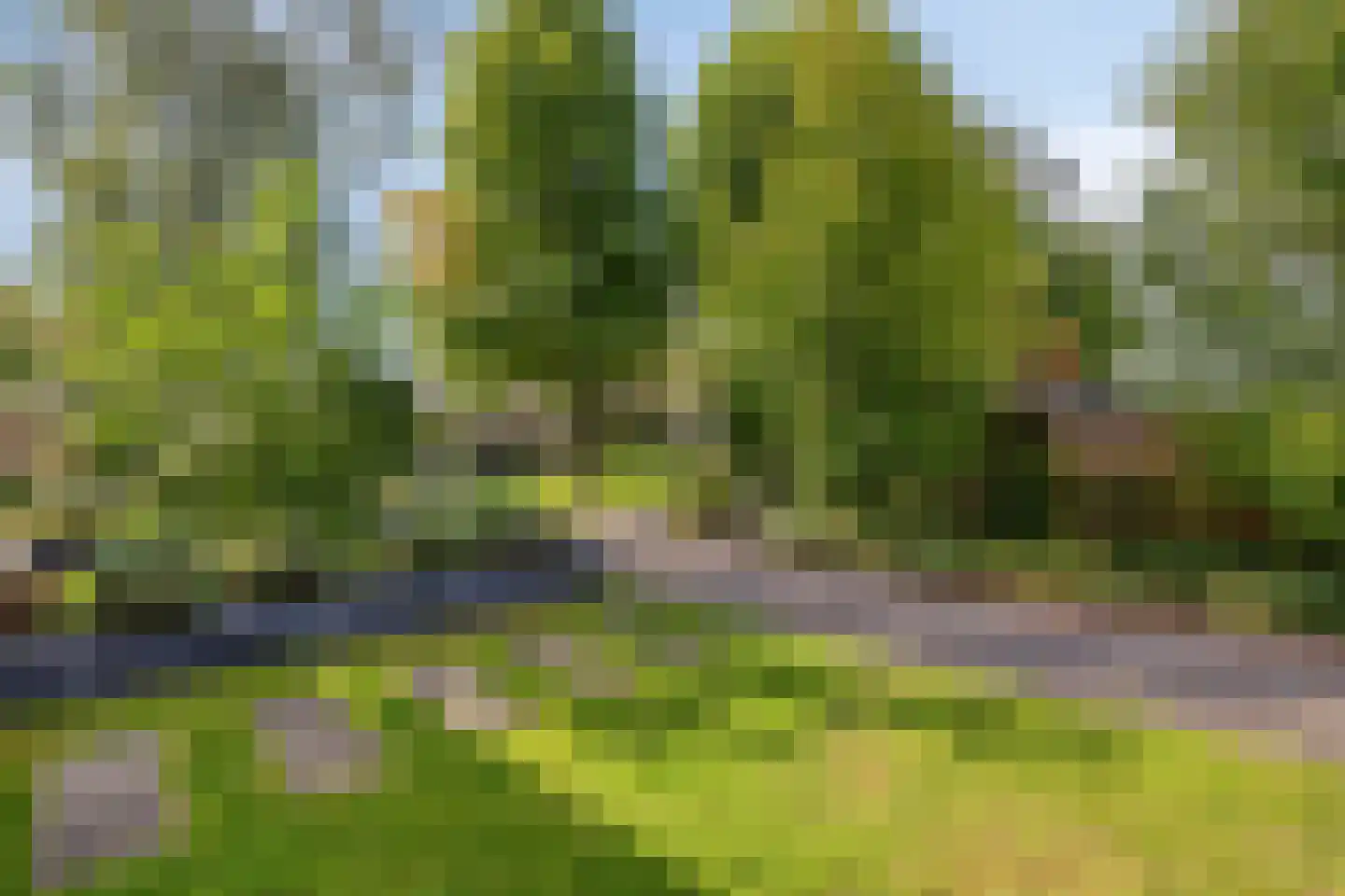 Spinetstraat 64 Etten-Leur thumbnail 60