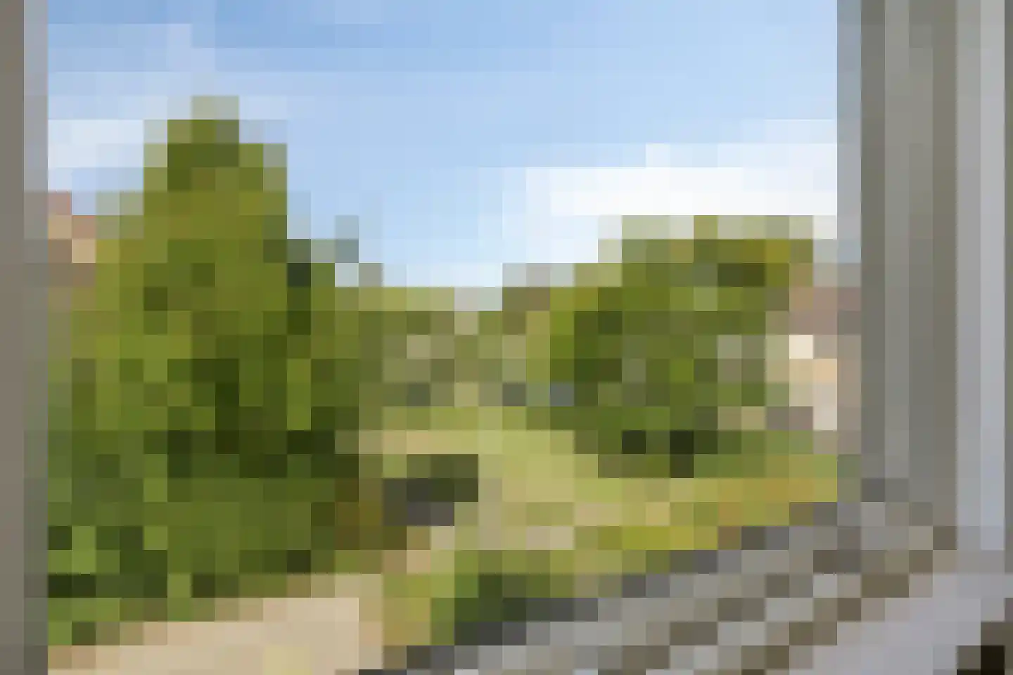Spinetstraat 70 Etten-Leur thumbnail 31
