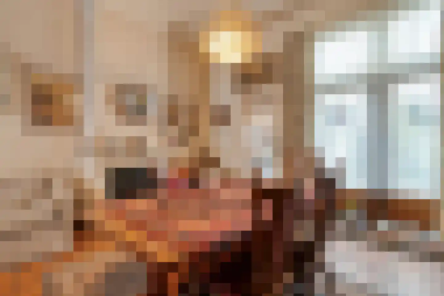 Spinhuisbredehoek 7 Zwolle thumbnail 12