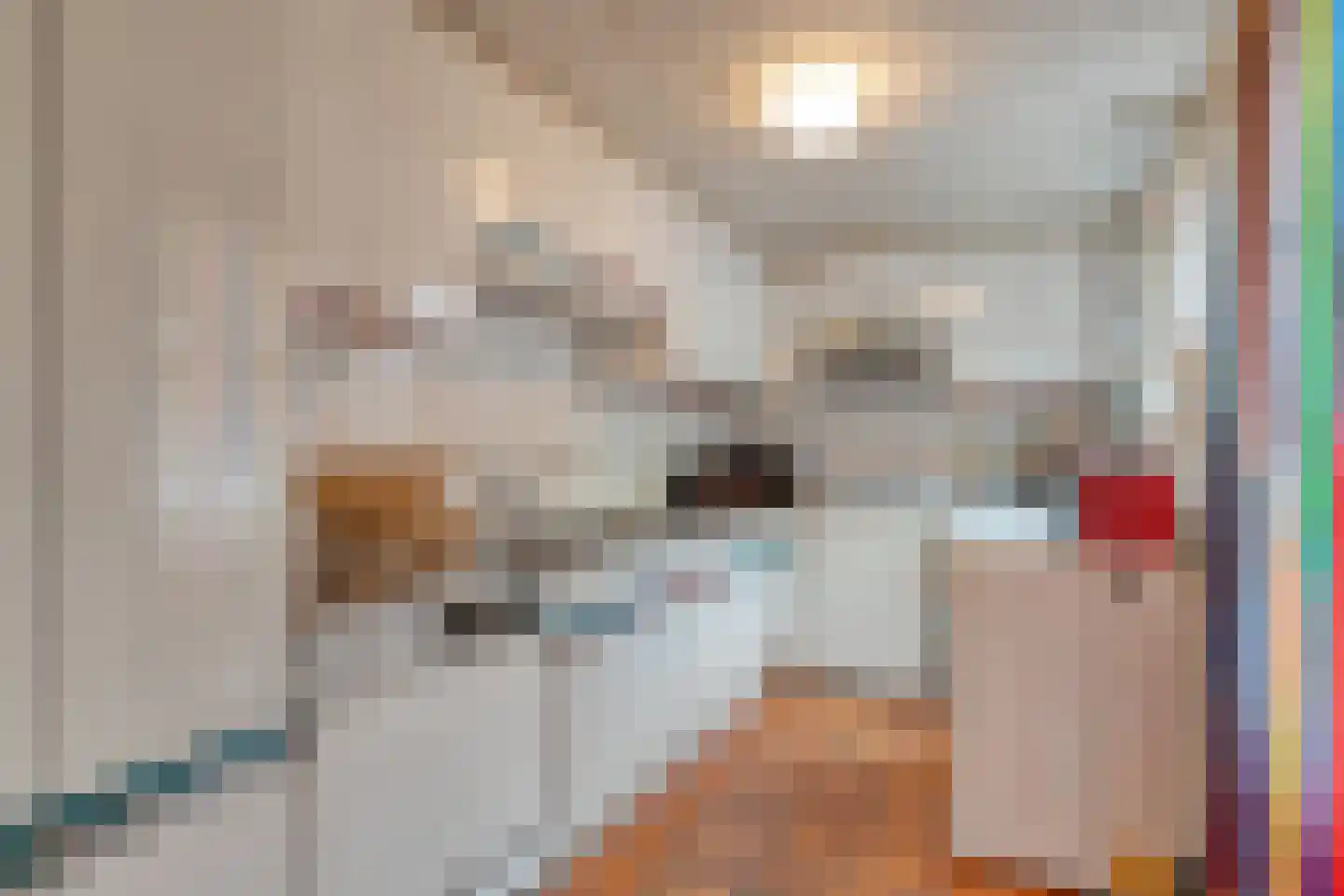 Spinhuisbredehoek 7 Zwolle thumbnail 15