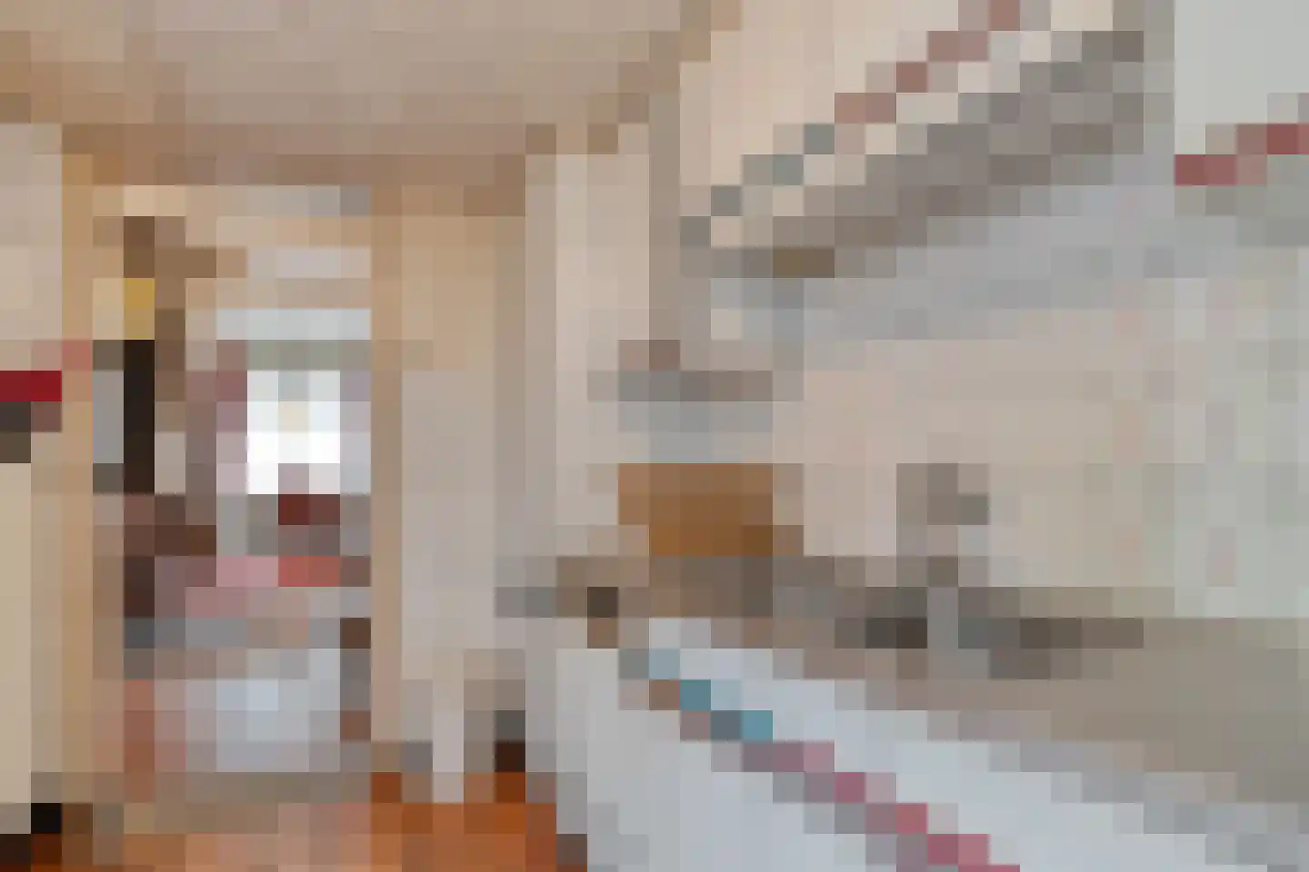 Spinhuisbredehoek 7 Zwolle thumbnail 16