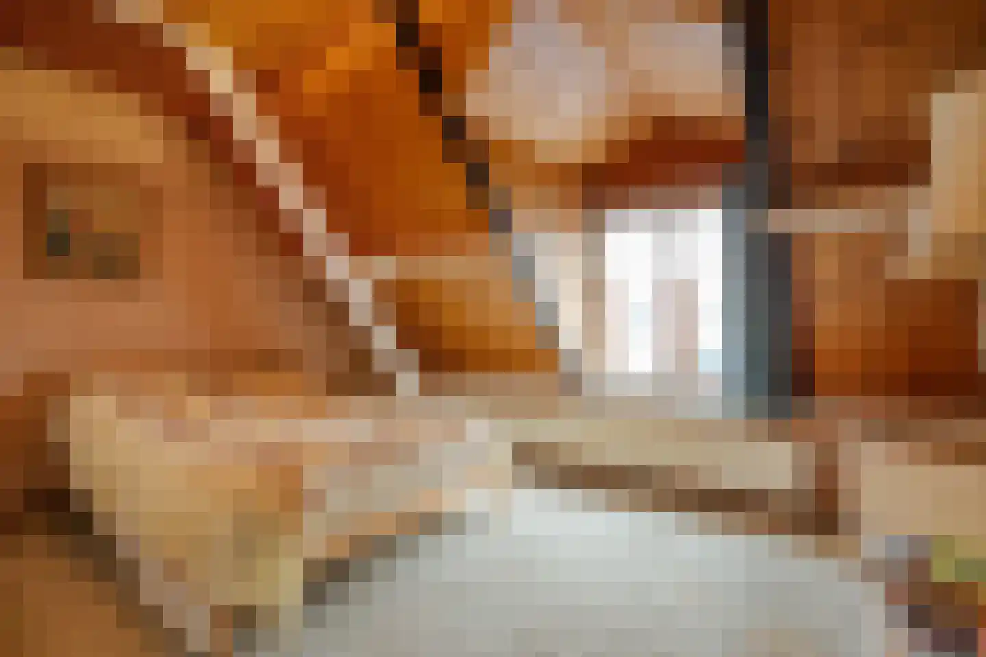 Spinhuisbredehoek 7 Zwolle thumbnail 22
