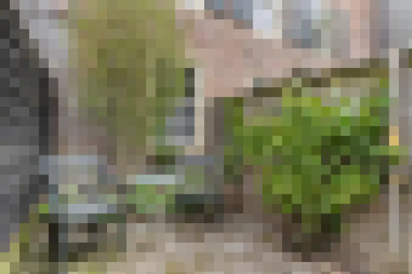 Spinhuisbredehoek 7 Zwolle thumbnail 28