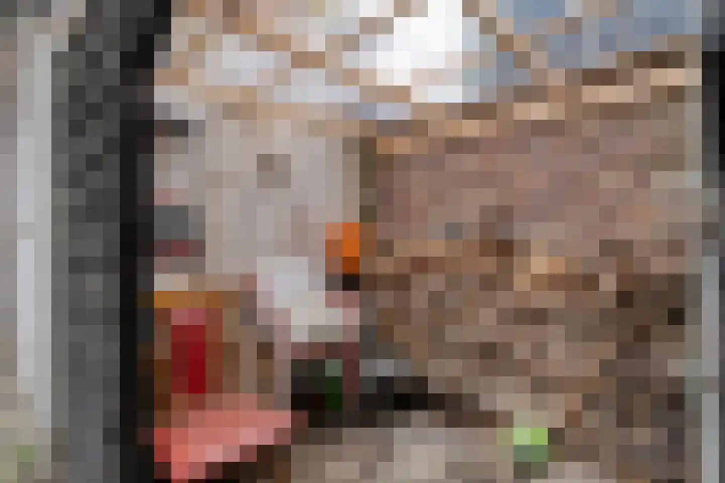 Spinhuisbredehoek 7 Zwolle thumbnail 29