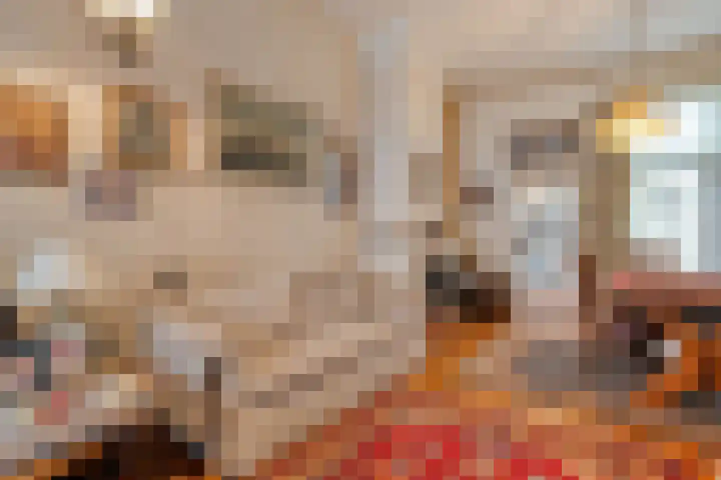 Spinhuisbredehoek 7 Zwolle thumbnail 9