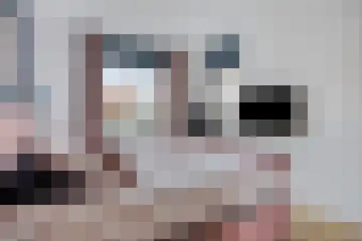 Spinhuispad 12 Schiedam thumbnail 9