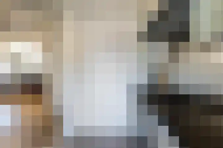 Spinhuispad 23 Schiedam thumbnail 17