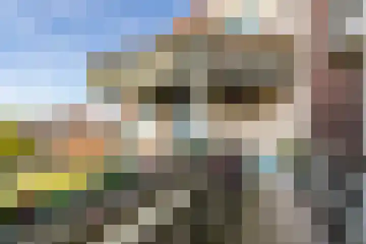 Spinhuispad 23 Schiedam thumbnail 20