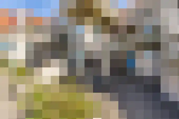 Spinhuispad 23 Schiedam thumbnail 34