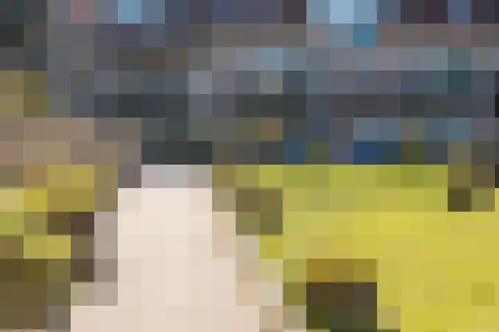Spinhuispad 23 Schiedam thumbnail 36