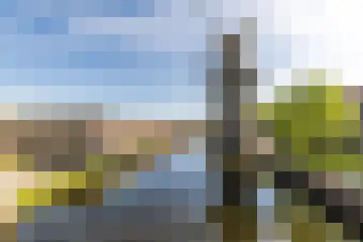 Spinhuispad 23 Schiedam thumbnail 38