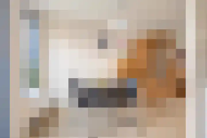 Spinhuispad 64 Schiedam