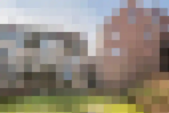 Spinhuispad 64 Schiedam thumbnail 28
