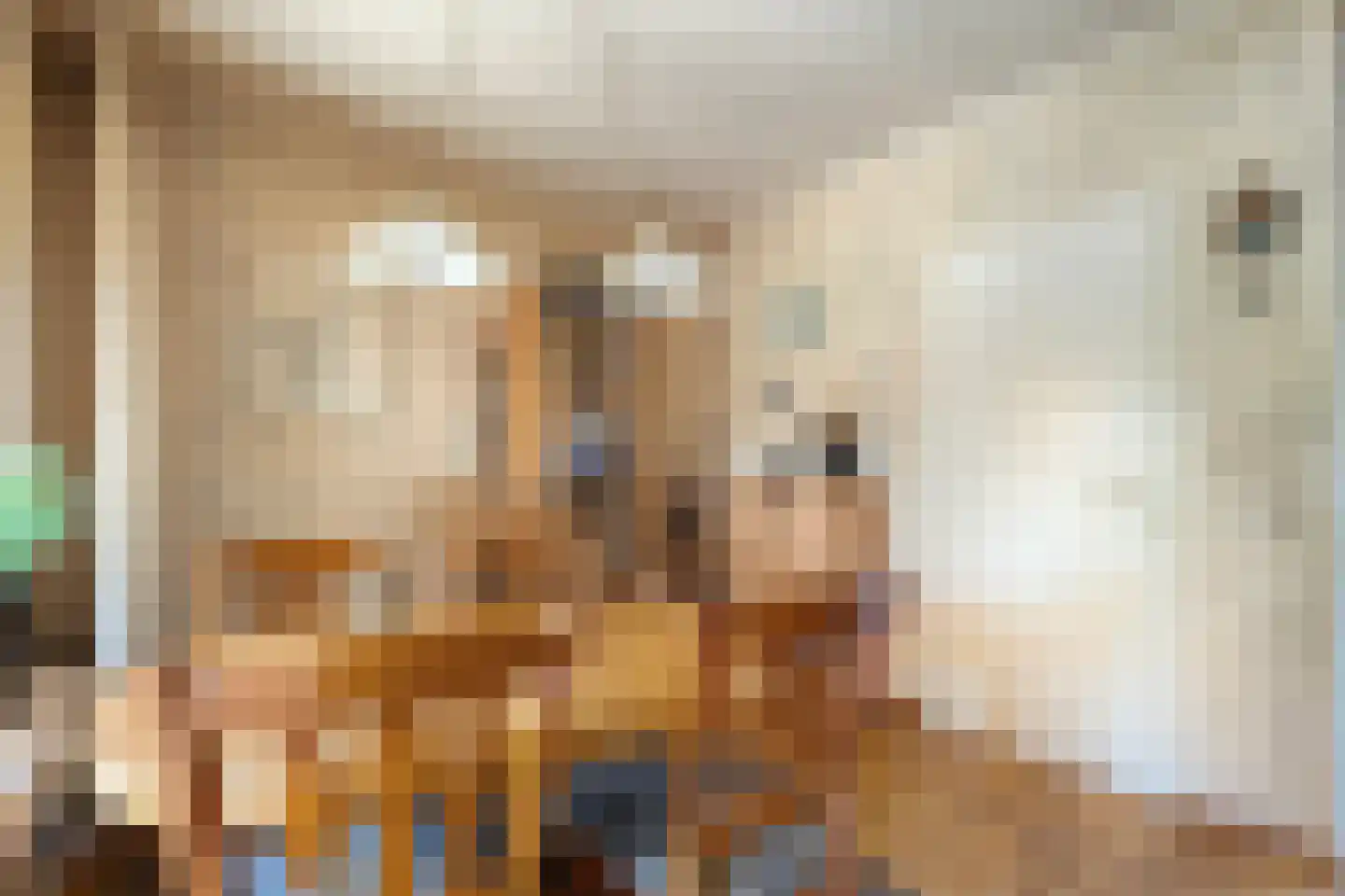Spinhuisstraat 1 Raalte thumbnail 14