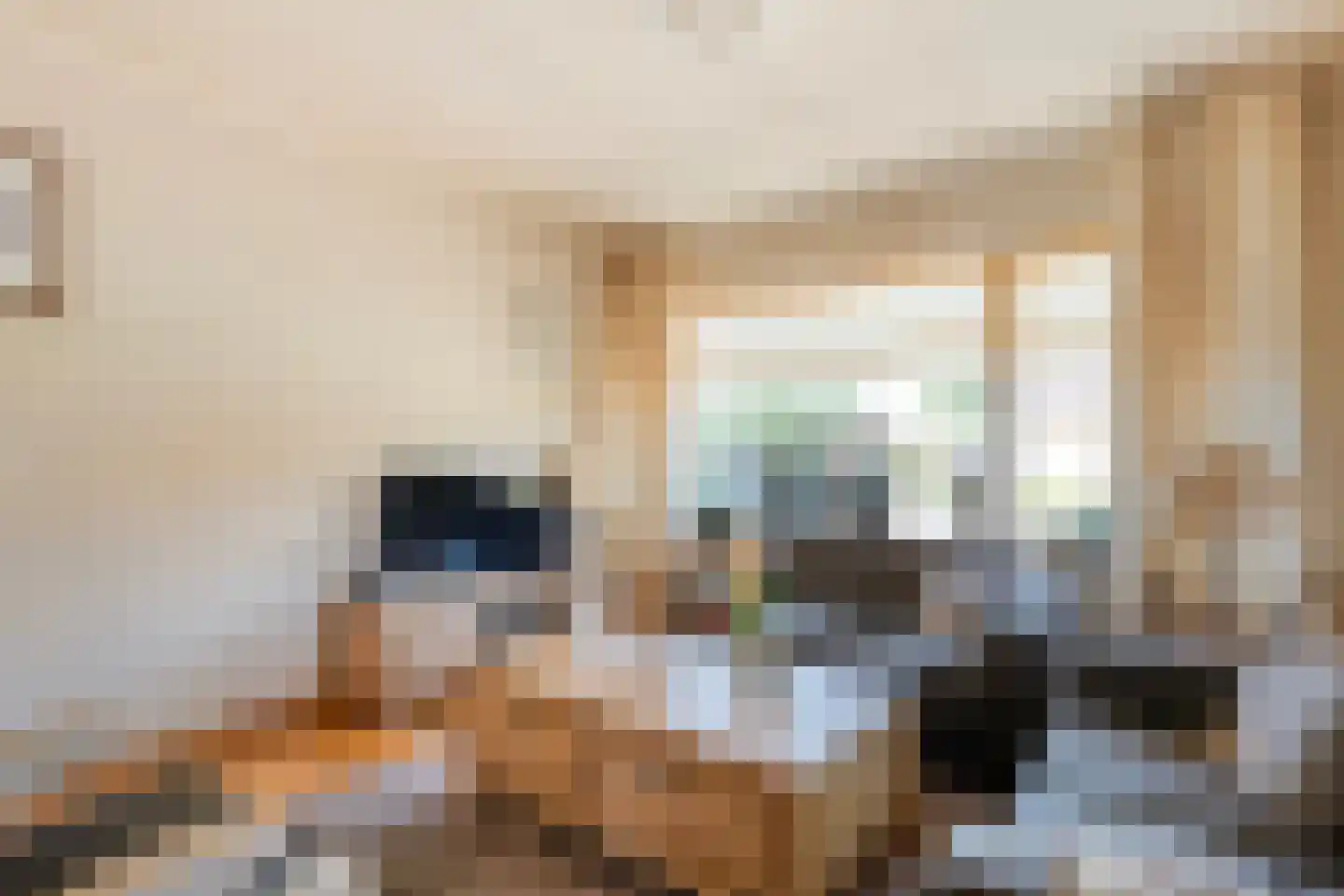 Spinhuisstraat 1 Raalte thumbnail 18
