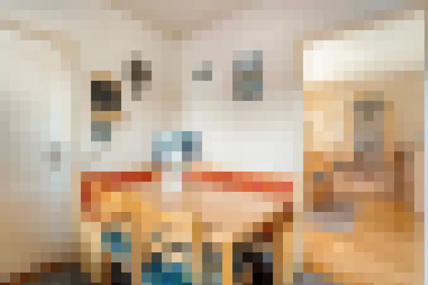 Spinhuisstraat 1 Raalte thumbnail 20