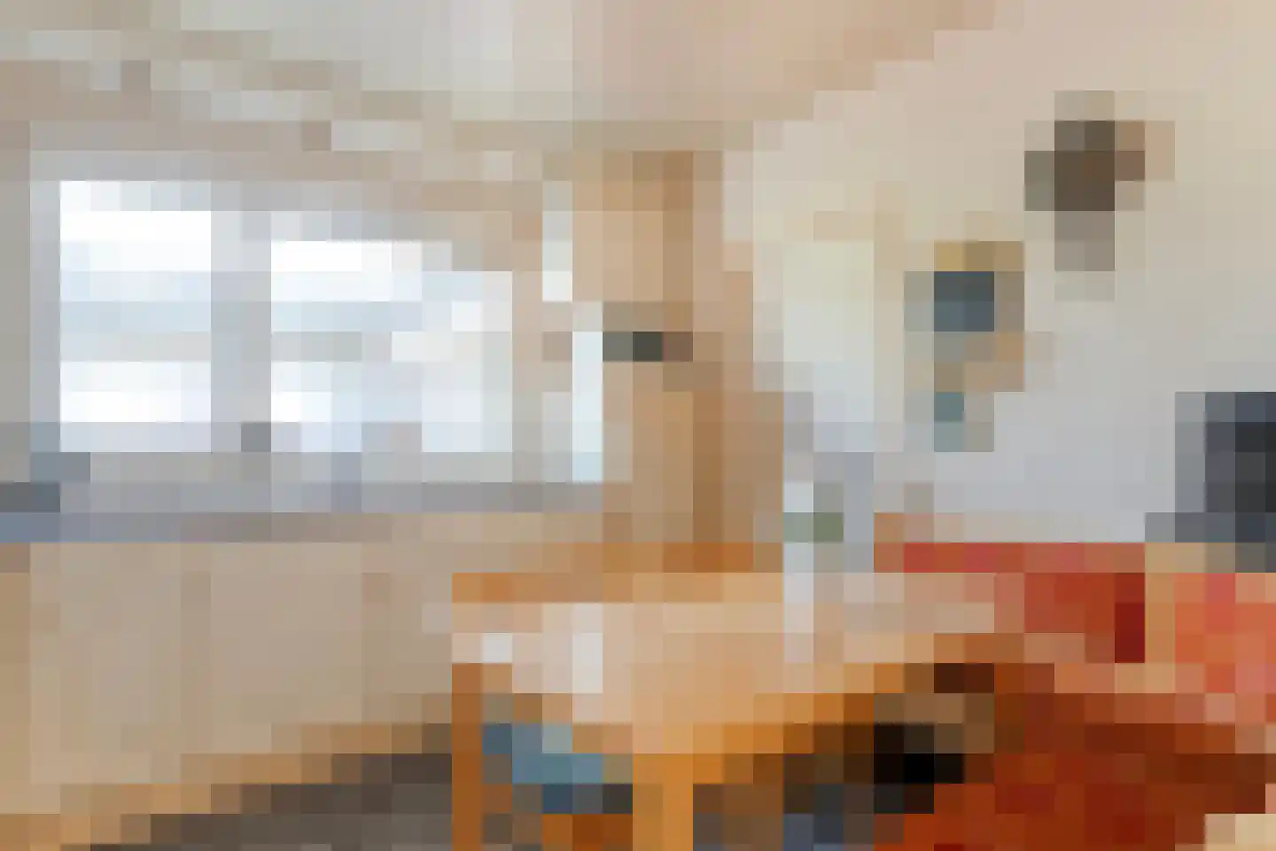 Spinhuisstraat 1 Raalte thumbnail 21
