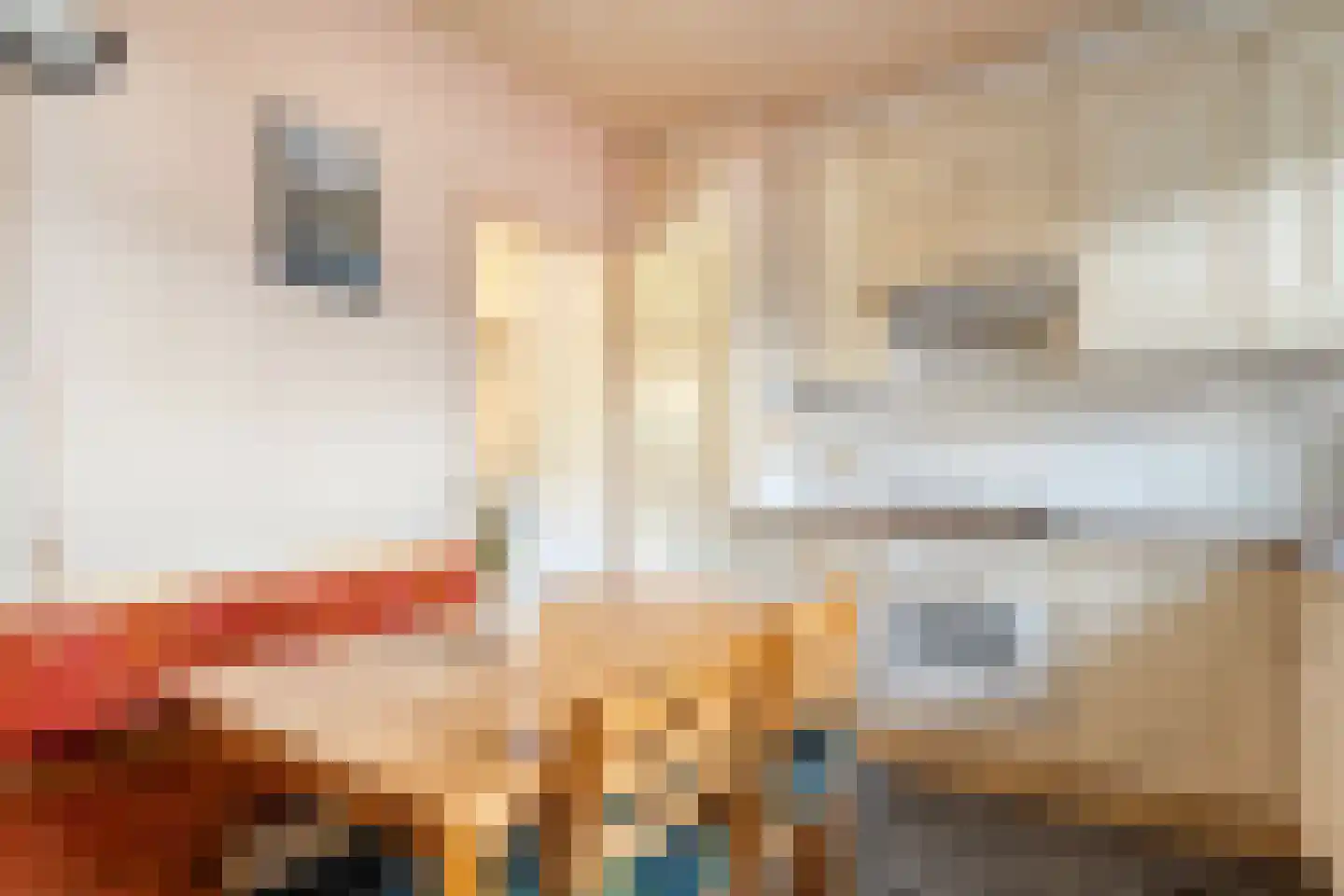 Spinhuisstraat 1 Raalte thumbnail 22