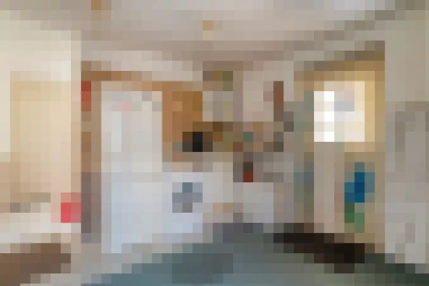 Spinhuisstraat 1 Raalte thumbnail 24