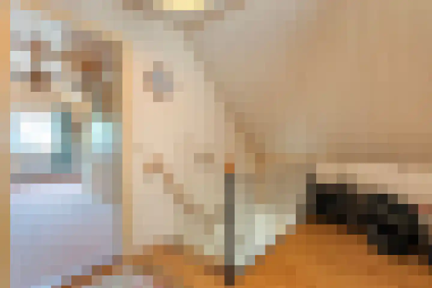 Spinhuisstraat 1 Raalte thumbnail 34