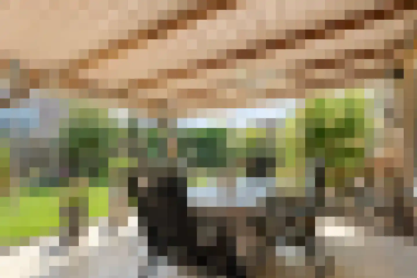 Spinhuisstraat 1 Raalte thumbnail 45