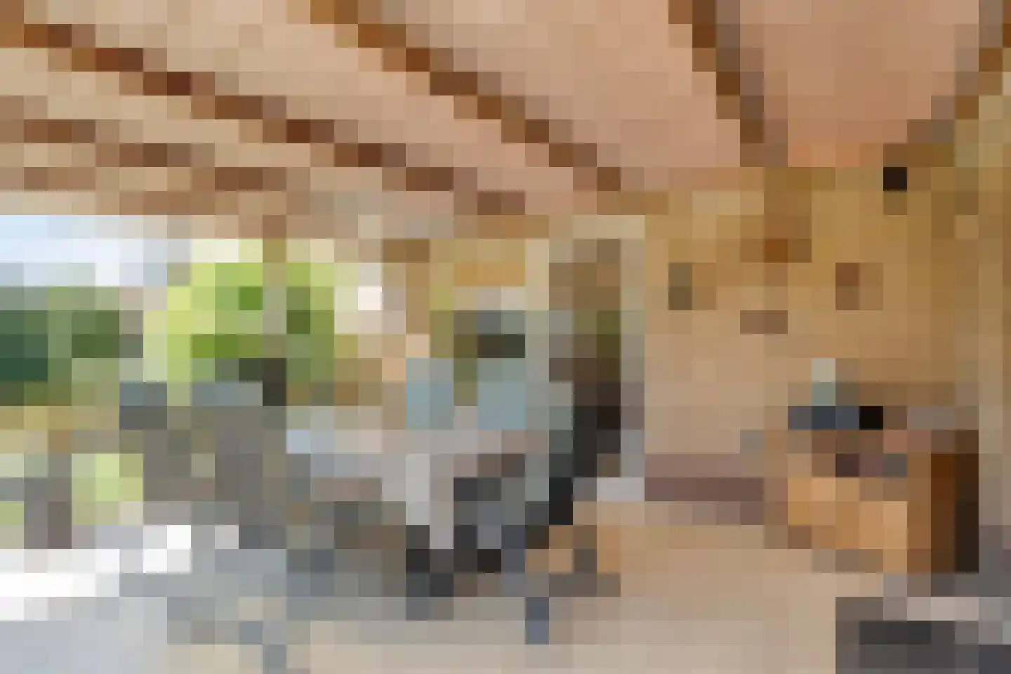 Spinhuisstraat 1 Raalte thumbnail 46
