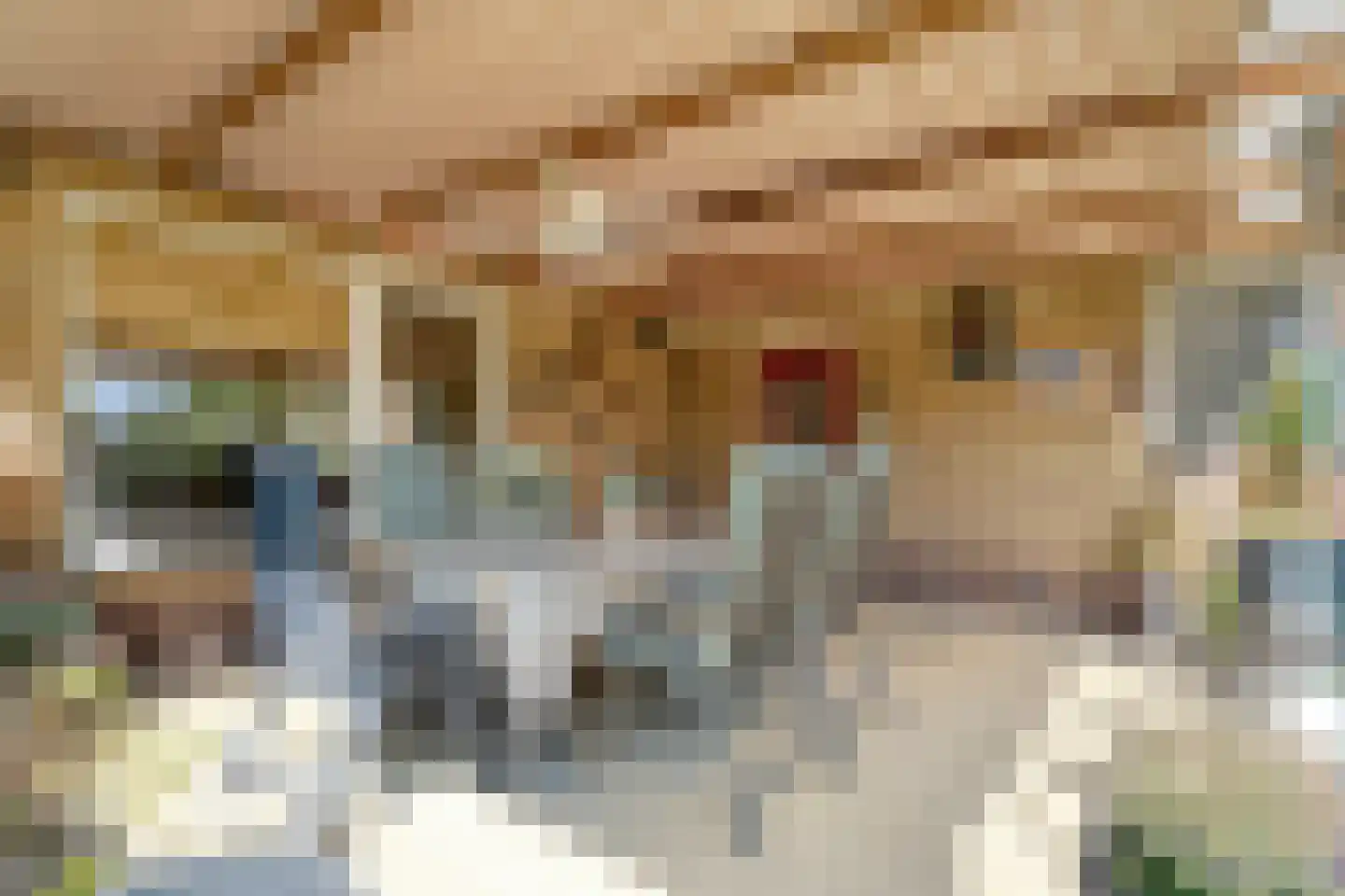Spinhuisstraat 1 Raalte thumbnail 47