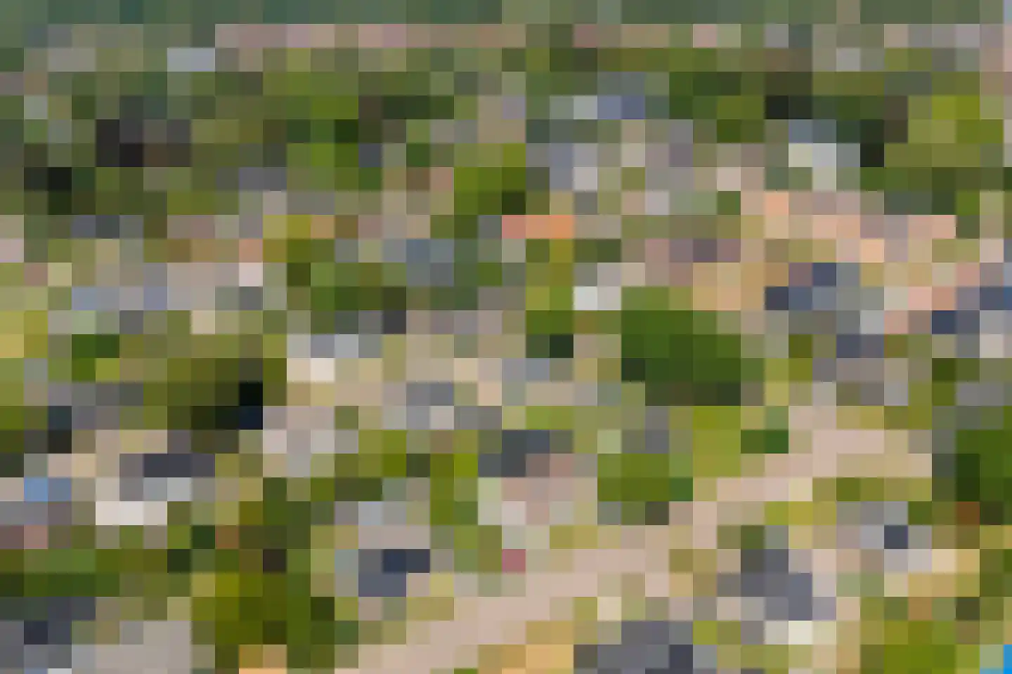Spinhuisstraat 1 Raalte thumbnail 51