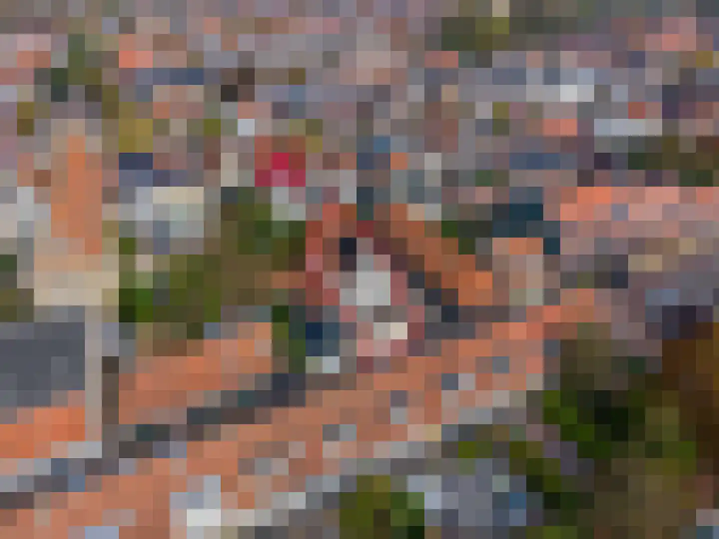 Spinhuisstraat 7 Harlingen thumbnail 12
