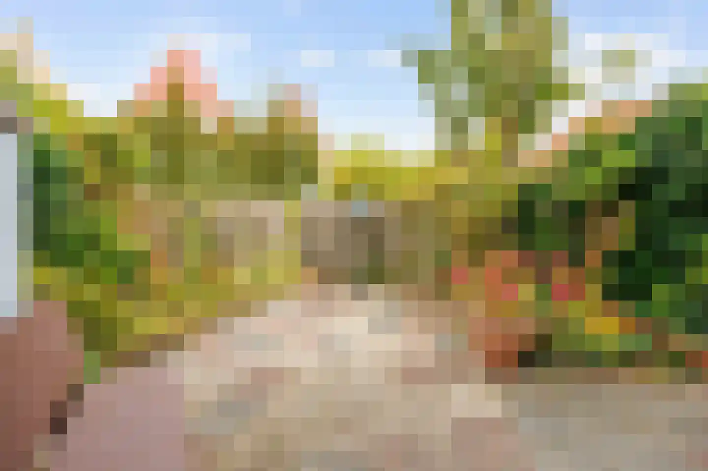 Spinhuisstraat 7 Harlingen thumbnail 34