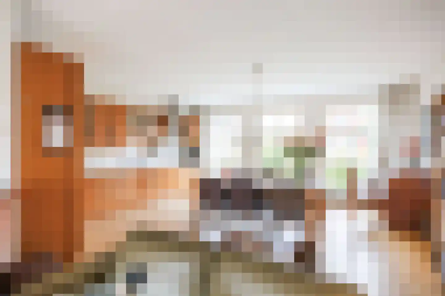 Spinhuisstraat 7 Harlingen thumbnail 46