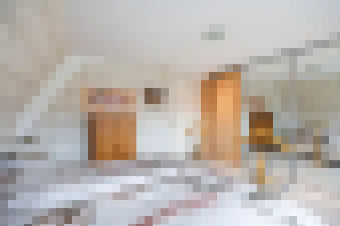 Spinhuisstraat 7 Harlingen thumbnail 58