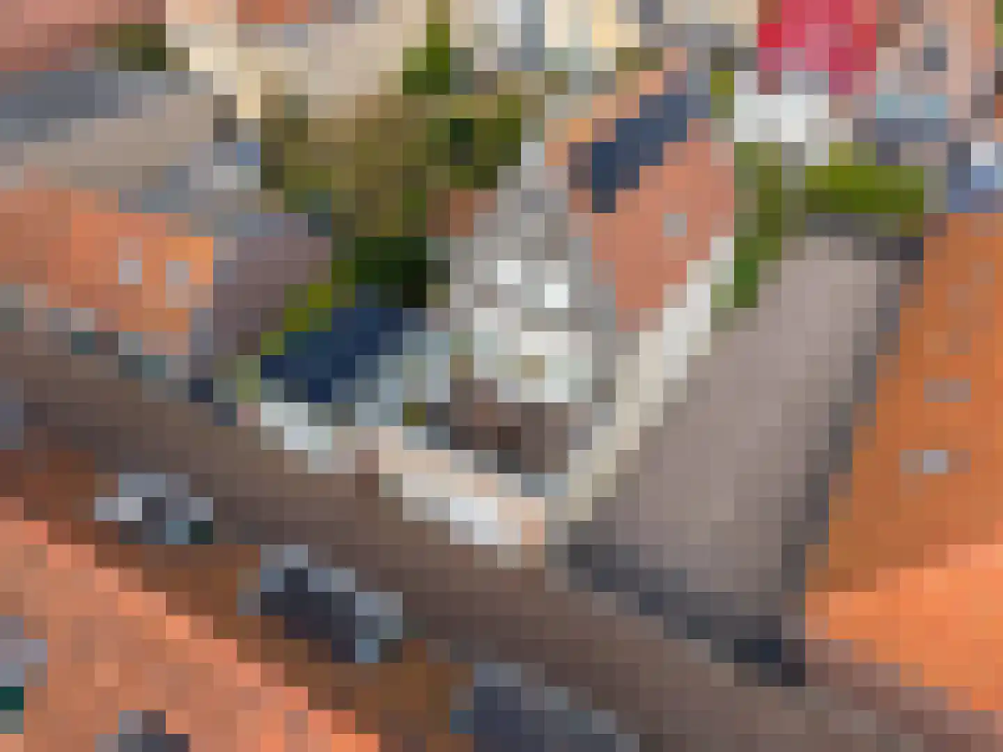 Spinhuisstraat 7 Harlingen thumbnail 8