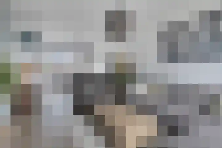 Spinhuisweg 3 Middelburg thumbnail 4