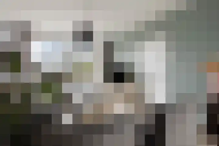 Spinhuisweg 3 Middelburg thumbnail 5